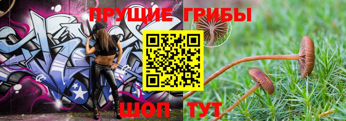Галлюциногенные грибы Psilocybine cubensis  Вход с VPN  Валуйки 