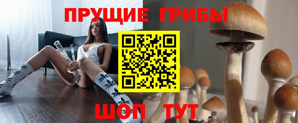 Псилоцибиновые грибы мицелий Валуйки